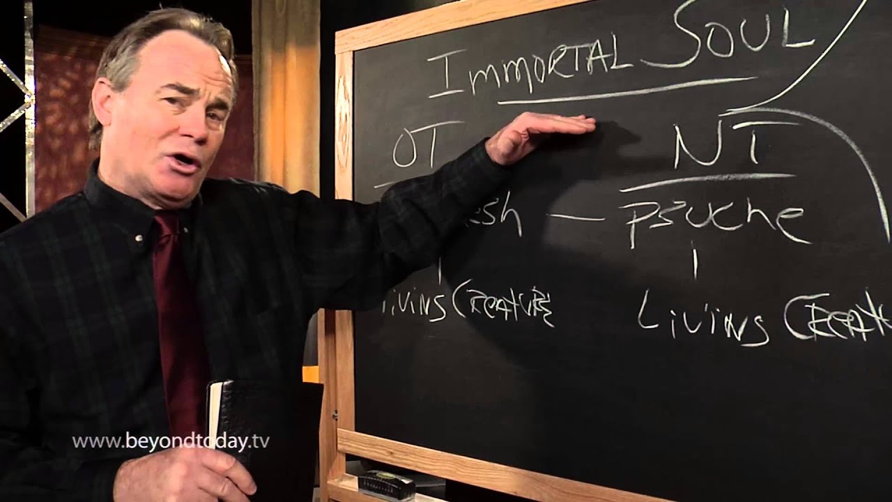BT Daily: Do You Have An Immortal Soul?