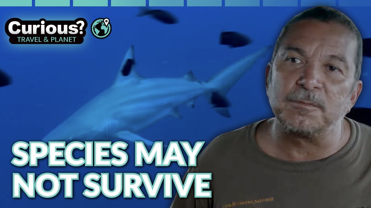 The Fight to Save Our Planet