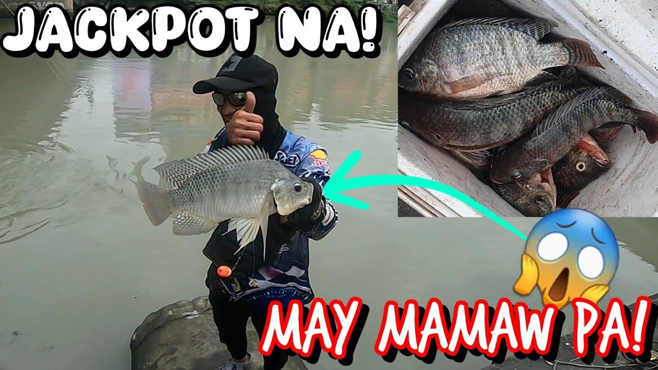 ILALIM NG TULAY ANG GANDA NG DAWE KAHIT MAAGOS!