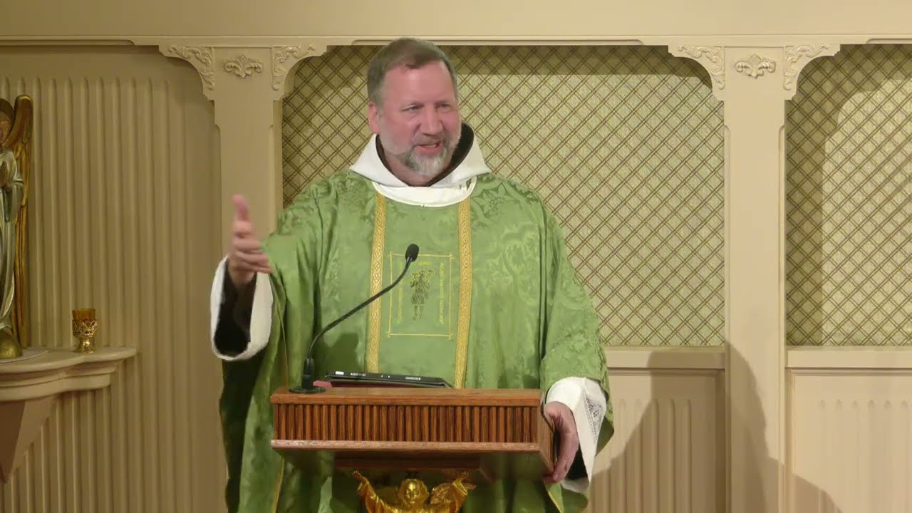 Readings and Homily - 2026-01-20 - Fr. Mark