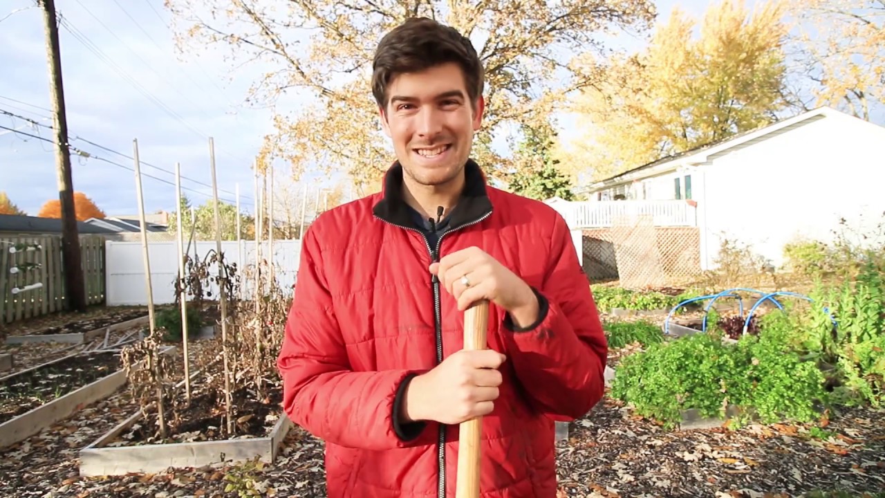 Why Fall Is The BEST Time to Plant Perennials