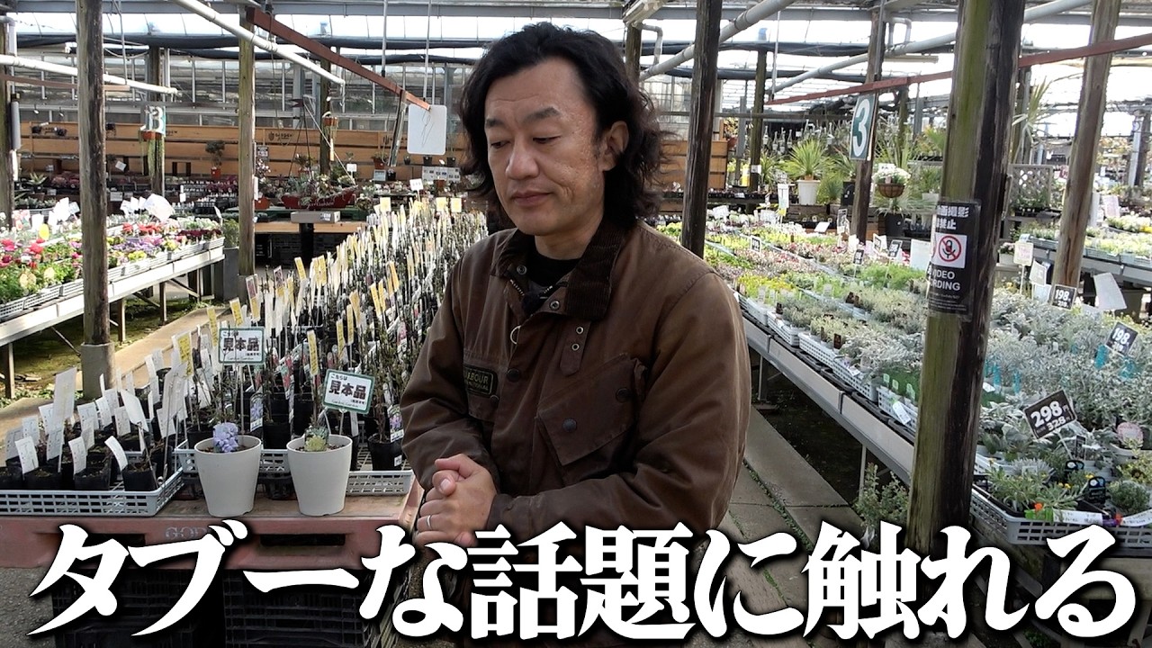 園芸界のご意見番がタブーに触れる！？【カーメン君】【園芸】【ガーデニング】