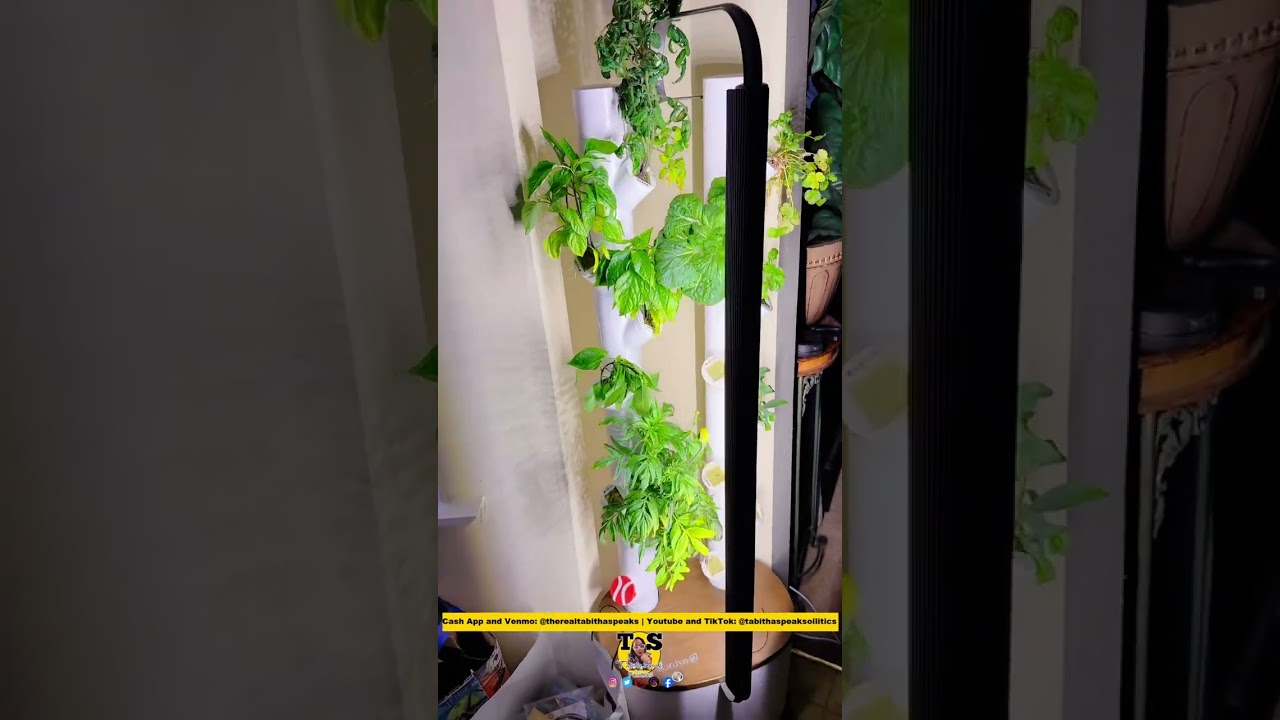 Garden Adventures and More | Update On The Gardyn and My $30 JVC Earbuds!