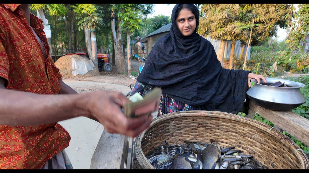 নদী থেকে তাজা বোয়াল মাছ কিনে শ্বশুর বাড়ি পাঠিয়ে দিলাম | Doyel Agro