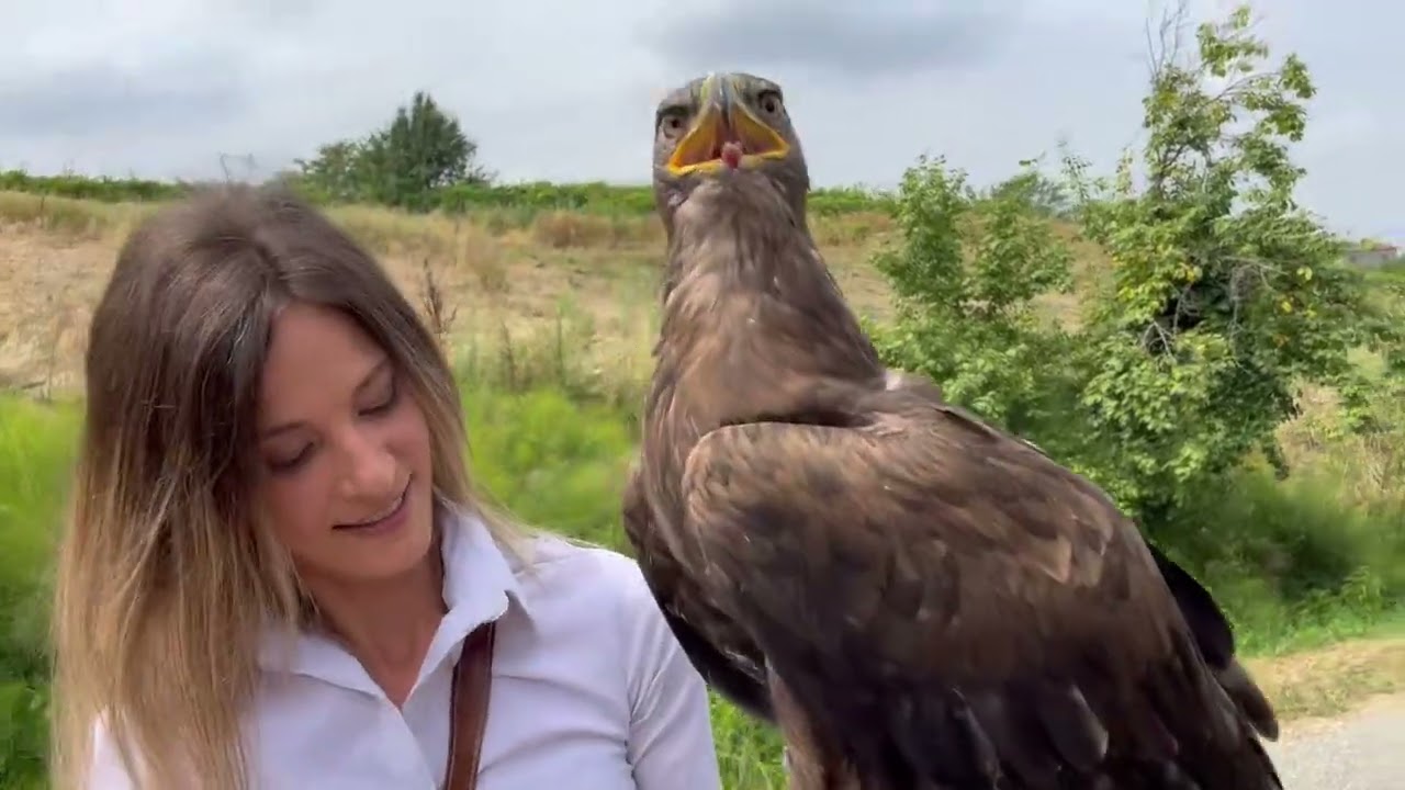 Falconeria Oltrep&ograve;
