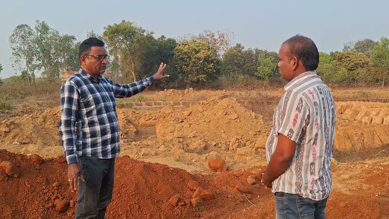 ଚାଲ ବୁଲିଯିବା ବନୁ ବାବୁଙ୍କ ଆମ୍ବ ବାରି please like and subscribe karibe#agriculture #tangibles2020 