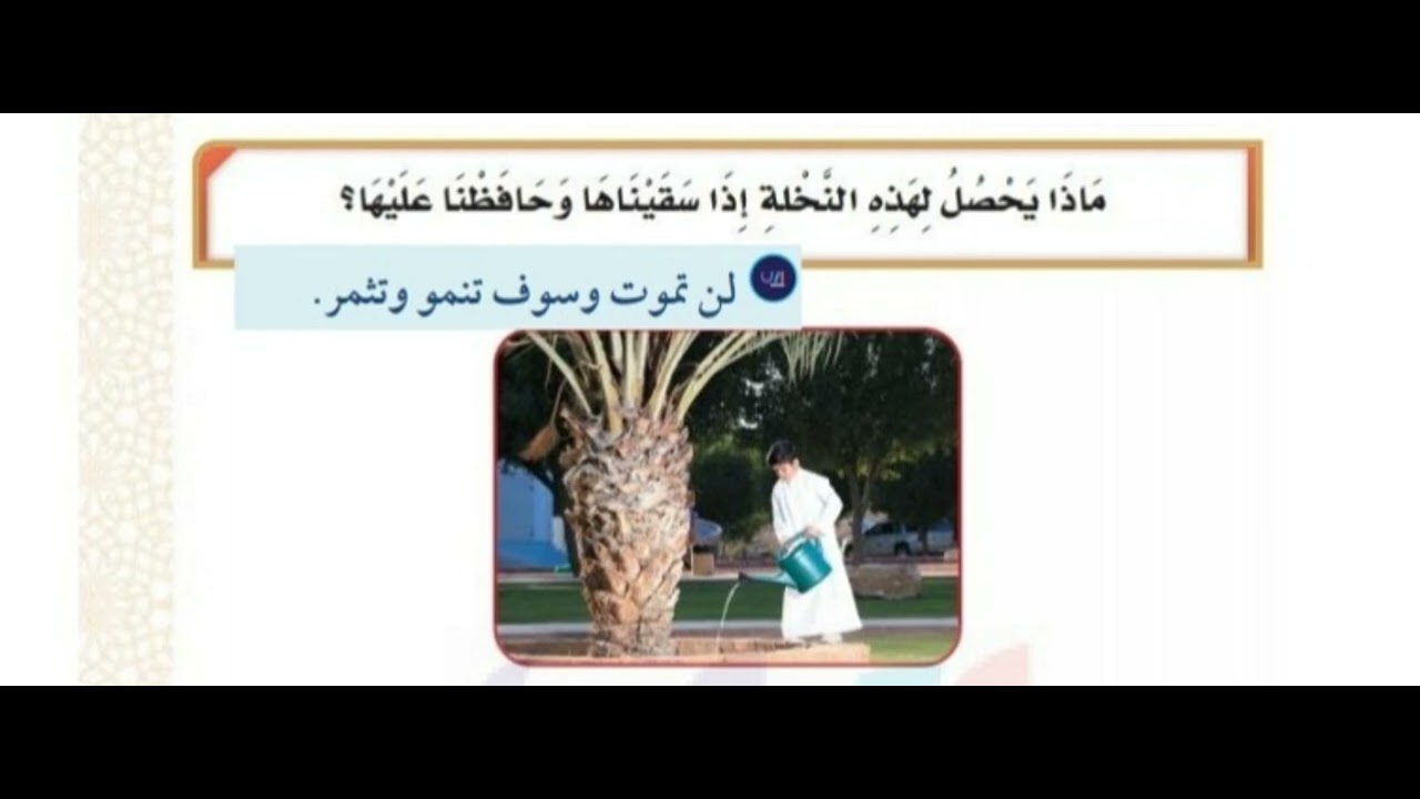 ماذا يحصل لهذه النخلة إذا سقيناها وحافظنا عليها؟