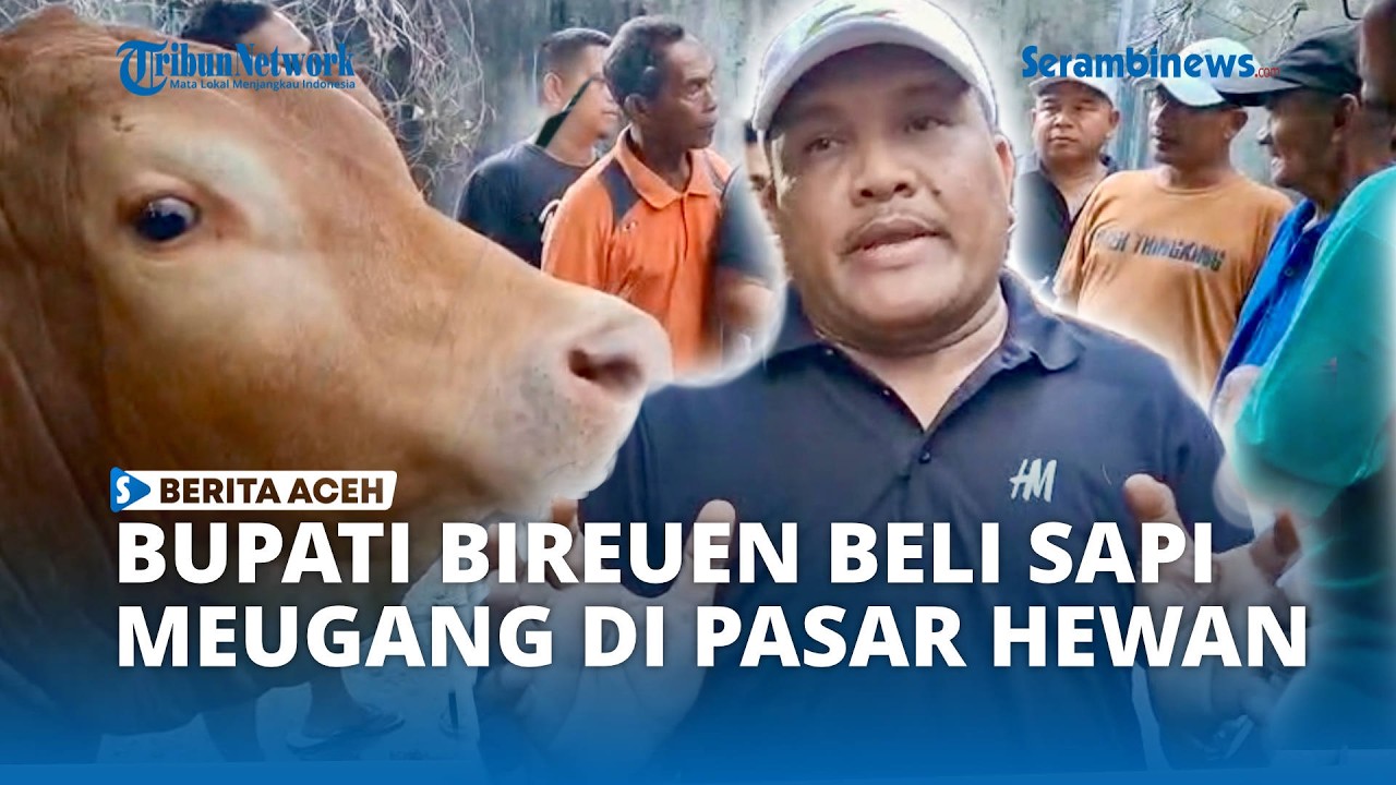 Bupati Bireuen Beli Sapi Meugang di Pasar Hewan Geulumpang Payong