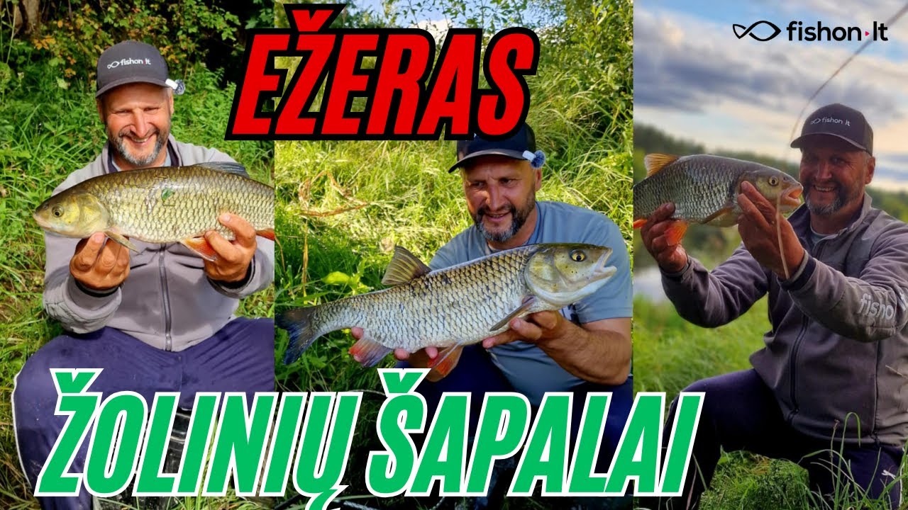 Ežeras | Žolinių šapalai