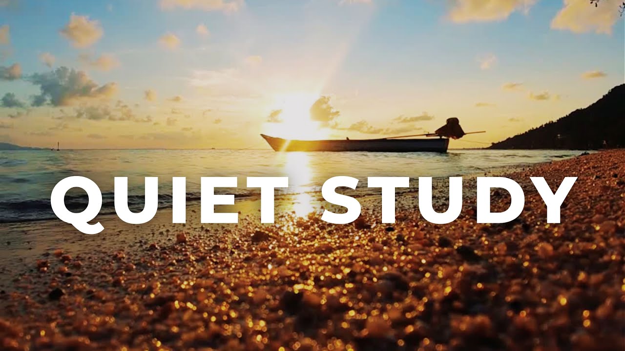 Handpan Ambient for Quiet Study | Minimal Background Music for Focus