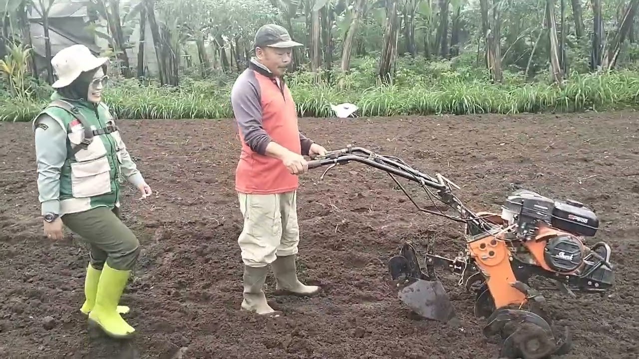 OPTIMALISASI PENGOLAHAN LAHAN JAGUNG#Kelompok Tani Slamet Rahayu Gambuhan#Kecamatan Pulosari