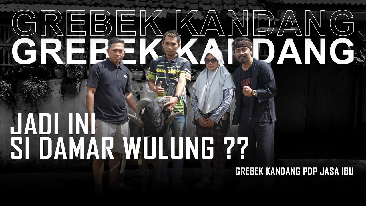 #grebekkandang - OH JADI INI SI DAMAR WULUNG?? ADA SI JENDRAL JUGA??