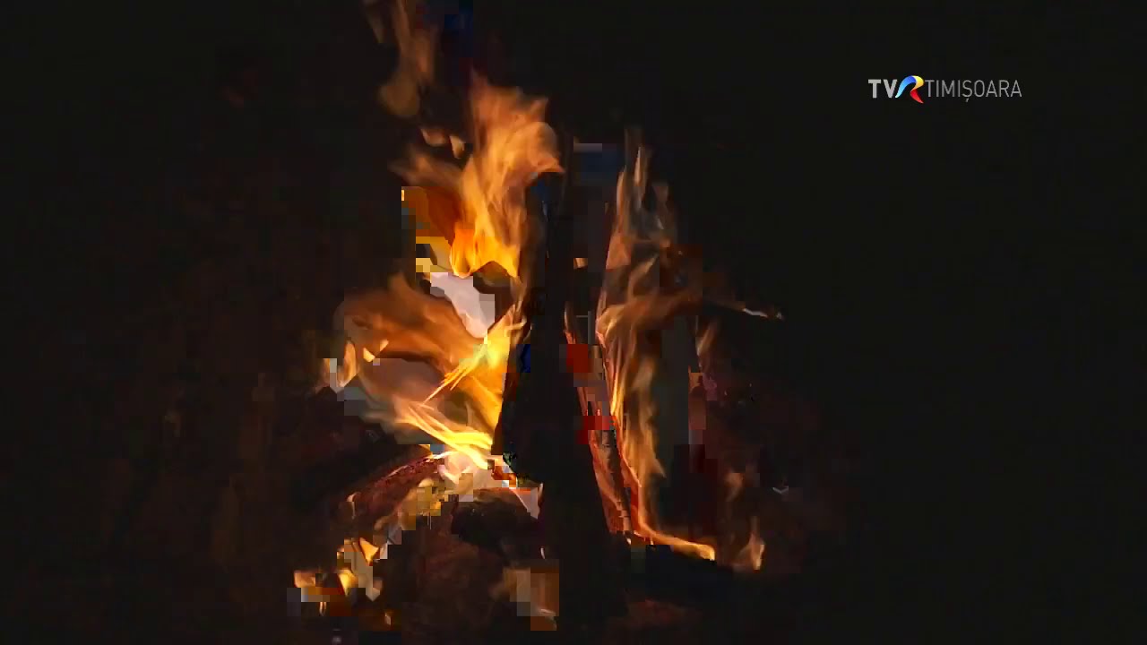 Secretul cerbului și comori dacice în Țara Gugulanilor #IstoriiAscunse @TVRTM