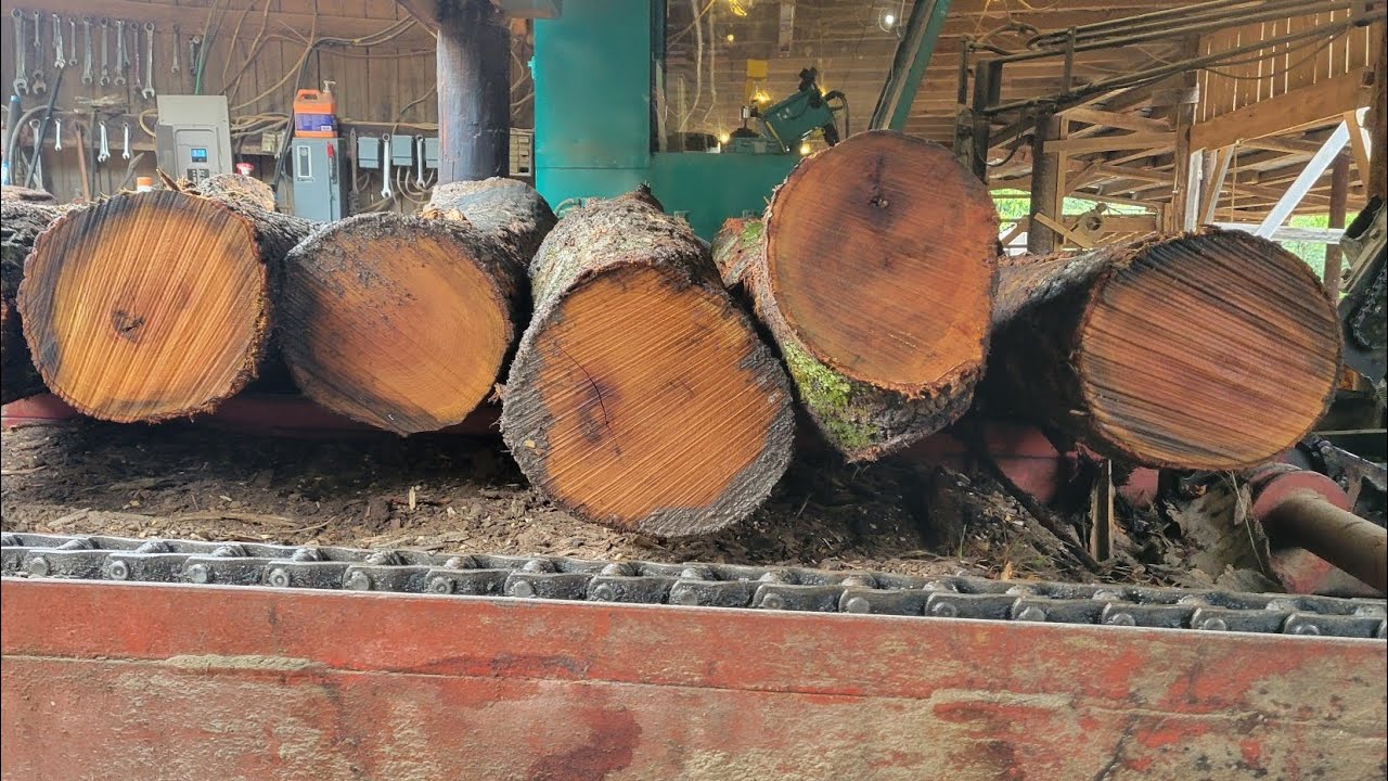 Sawing red oak #88