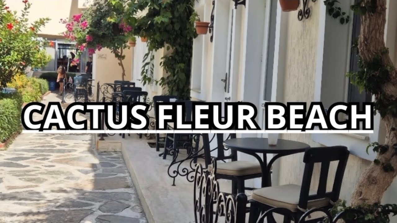 Cactus fleur Beach i gitmeden görün. #cactusfleurbeach #bodrum #yalıkavak 