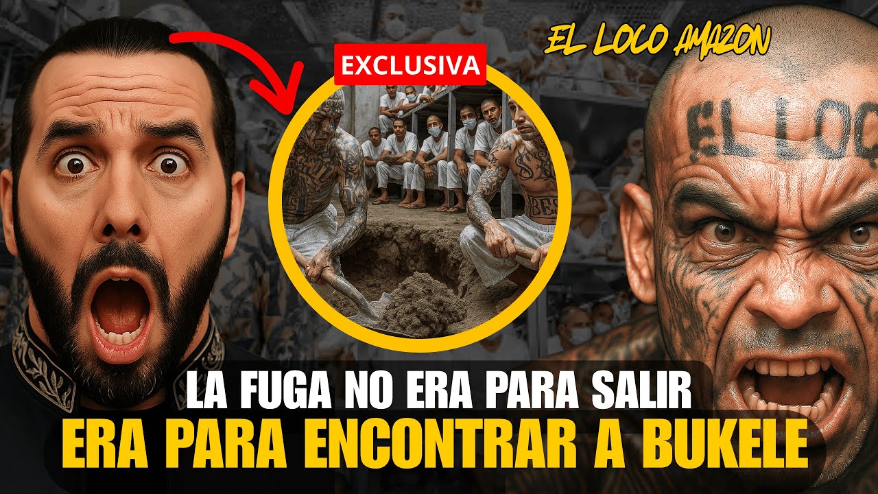 En la CELDA 13, EL LOCO AMAZON planeaba una FUGA… pero no para escapar