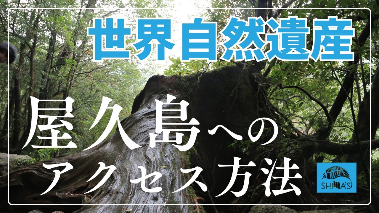 【世界自然遺産】大自然が魅力！屋久島へのアクセス方法 #屋久島 #世界自然遺産 #屋久島行き方