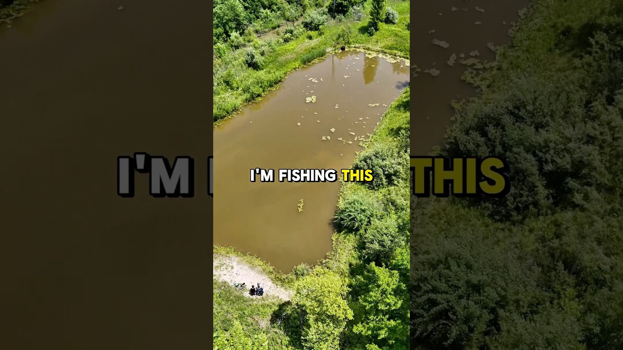 Fishing this HIDDEN and muddy pond for some big fish&hellip; #fishing #funny #bass #fisherman