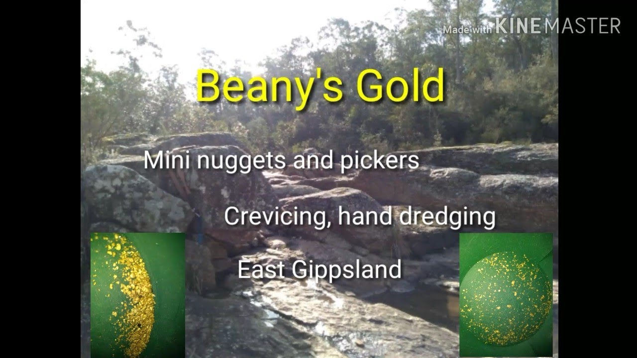 Gold RICH crevices, East Gippsland Gold!