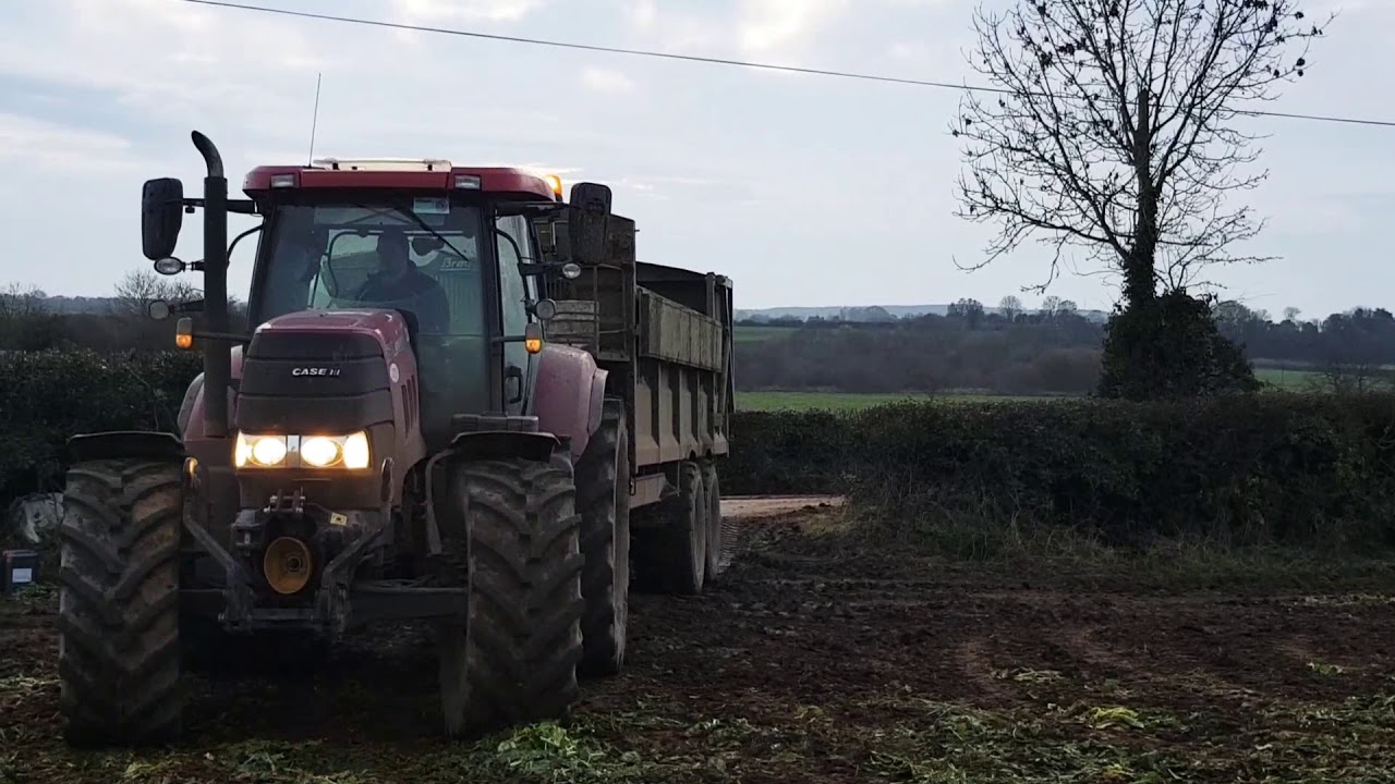 Murphy Agri Fodder Beet Harvest 2018