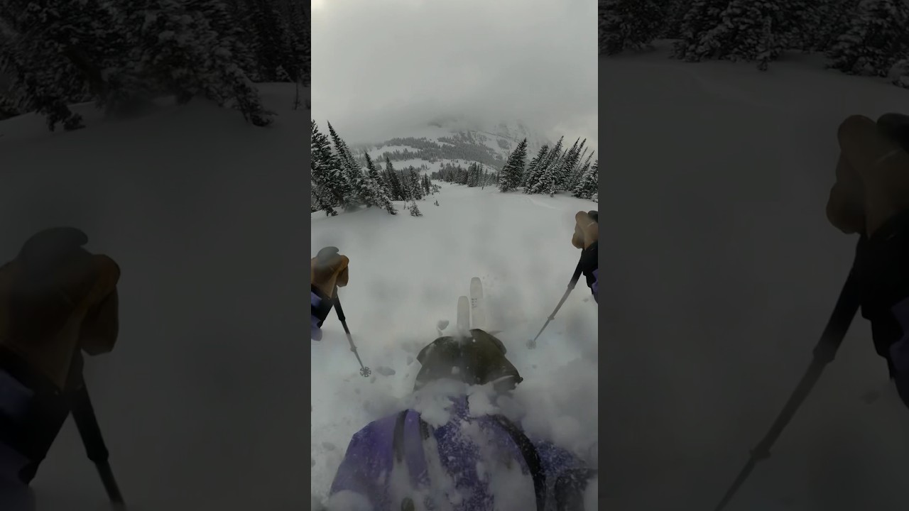Insane powder on teton pass #skiing #backcountry