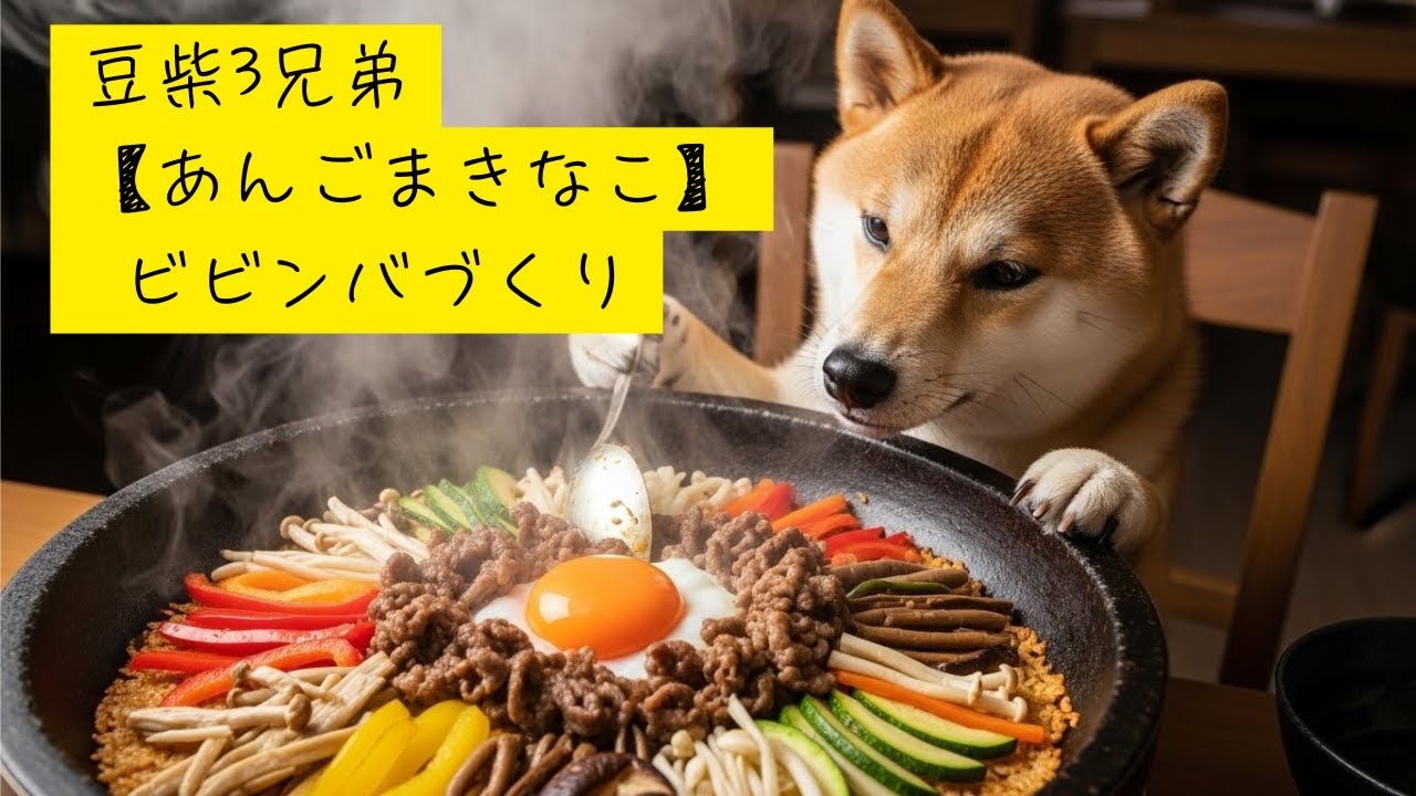 豆柴3兄弟【あんごまきなこ】ビビンバづくり・Shibainu Trio's Making Bibimbap