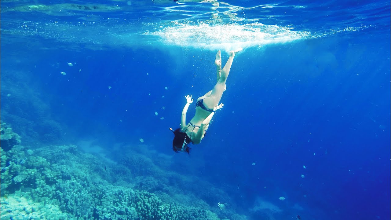 Snorkeling in Egitto al SeaClub Gorgonia di Marsa Alam