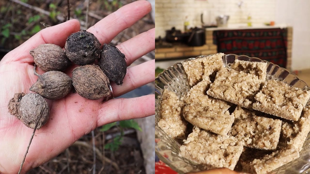 CATANDO COCO CATOLÉ PRA FAZER COCADA