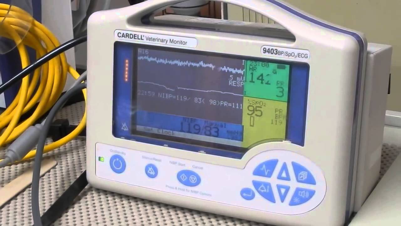 CARDELL Veterinary Monitor
