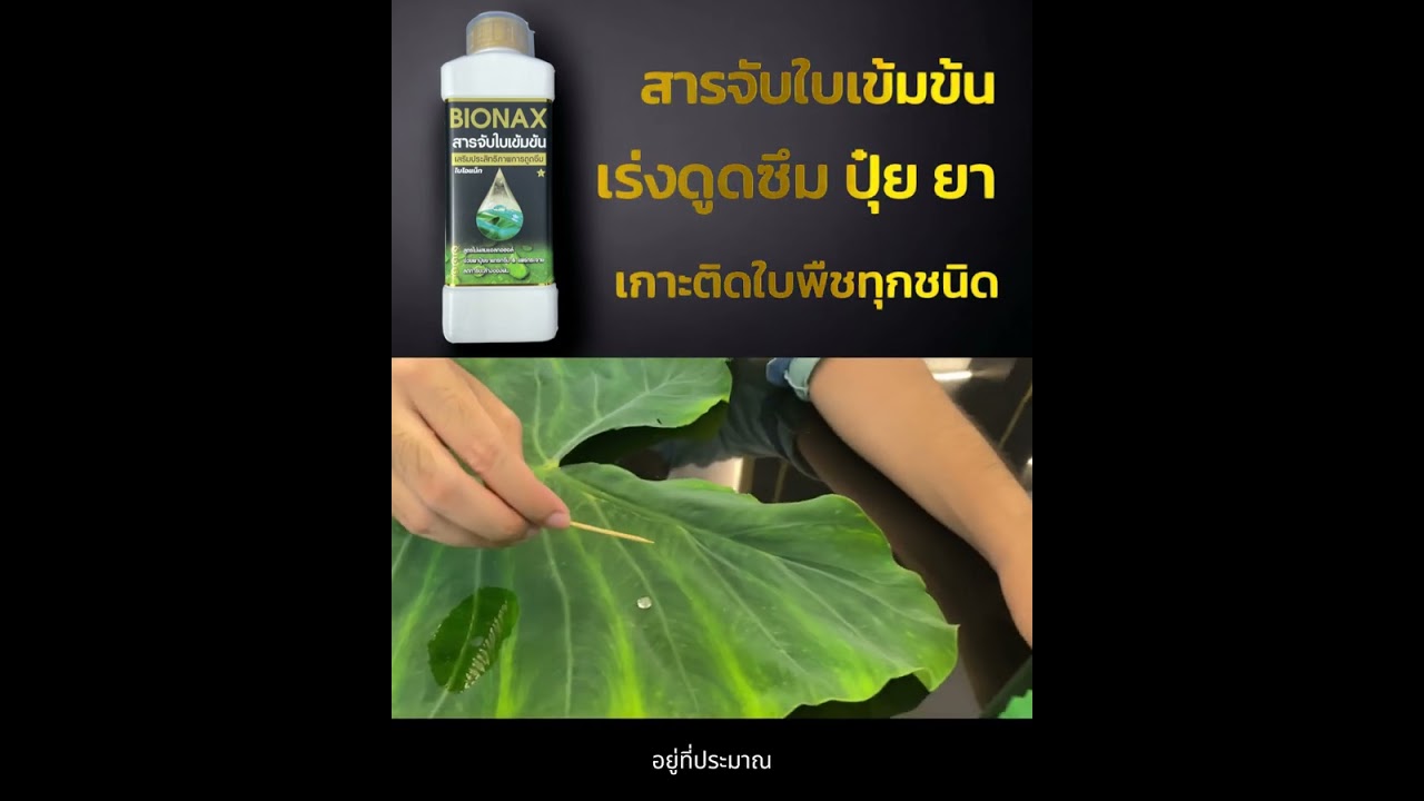 สารจับใบเข้มข้น BIONAX