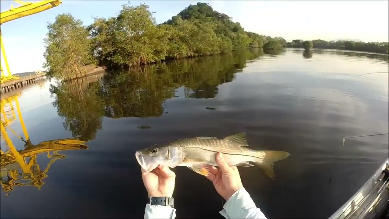 ROBALO FLECHA NO INVERNO e NO PLUG