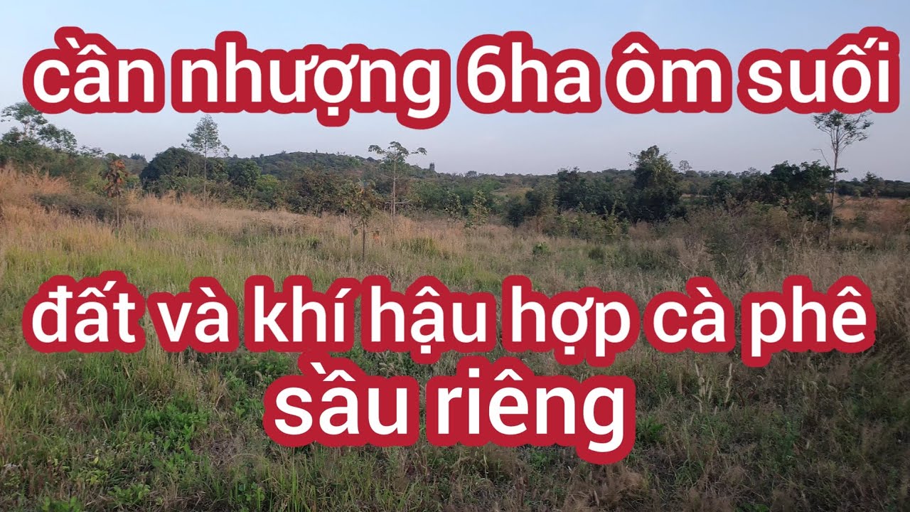Cần nhượng lô đất 6ha đường xã thuận tiện chưa bìa giá rẻ 