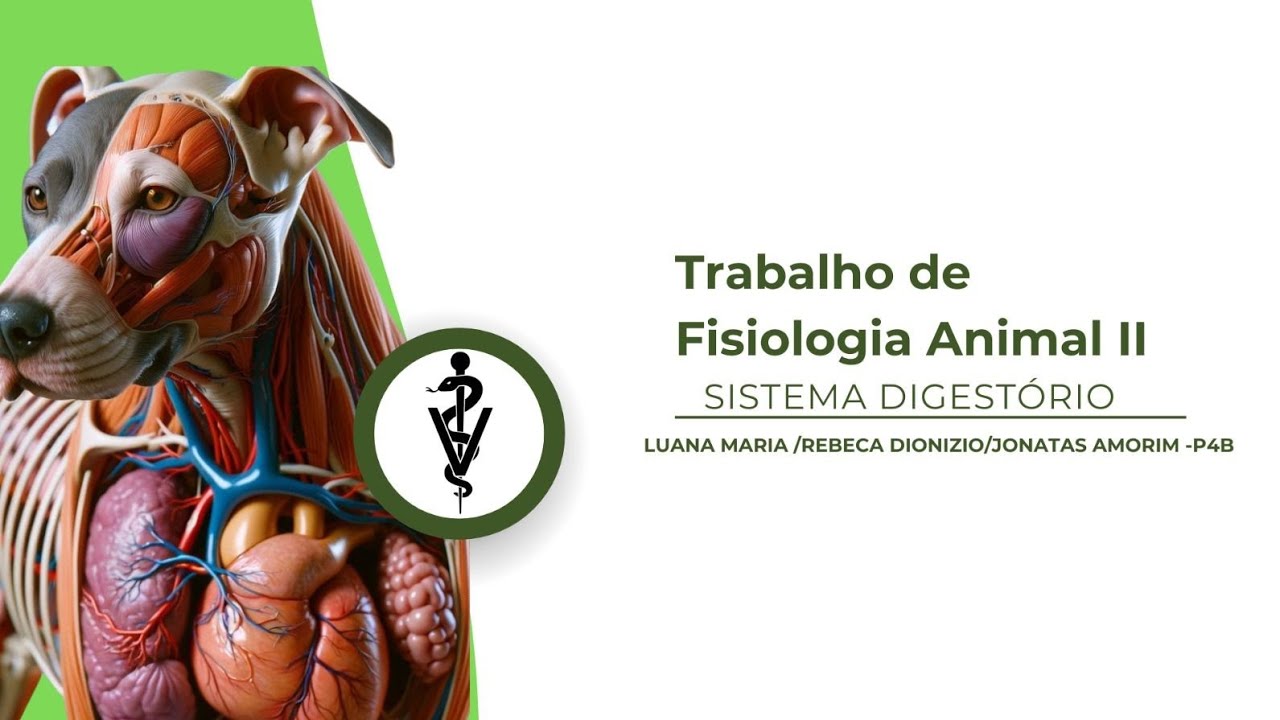 Trabalho de fisiologia ll Sobre Sistema Digestorio. (Luana Maria,Rebeca Dionísio, Jonatas Amorim)