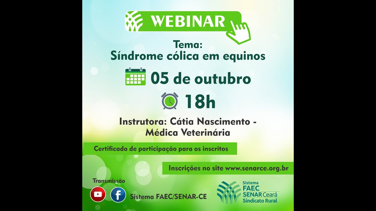 WEBINAR - SÍNDROME CÓLICA EM EQUINOS