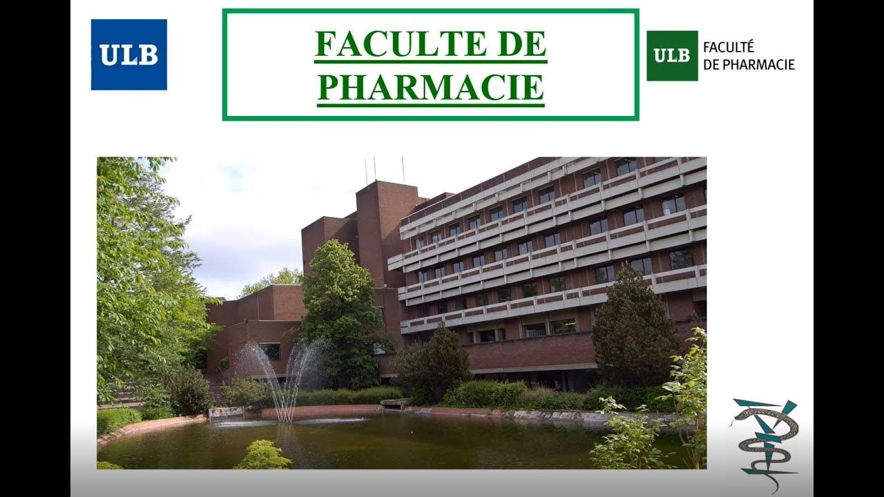 FAQ : les 10 questions les plus fréquentes