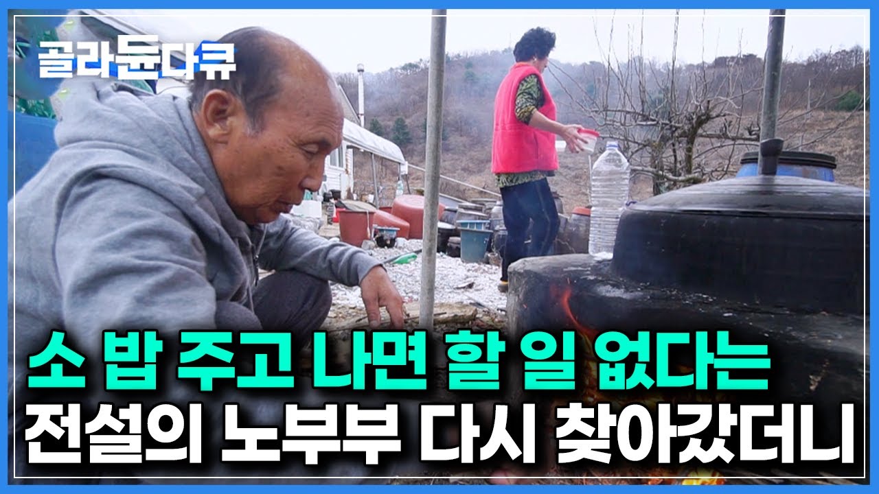 한국기행 출연자 중 가장 편하게 살고 있다는 ‘돈너미 마을’ 노부부｜5년만에 다시 찾아갔더니｜한국기행｜#골라듄다큐