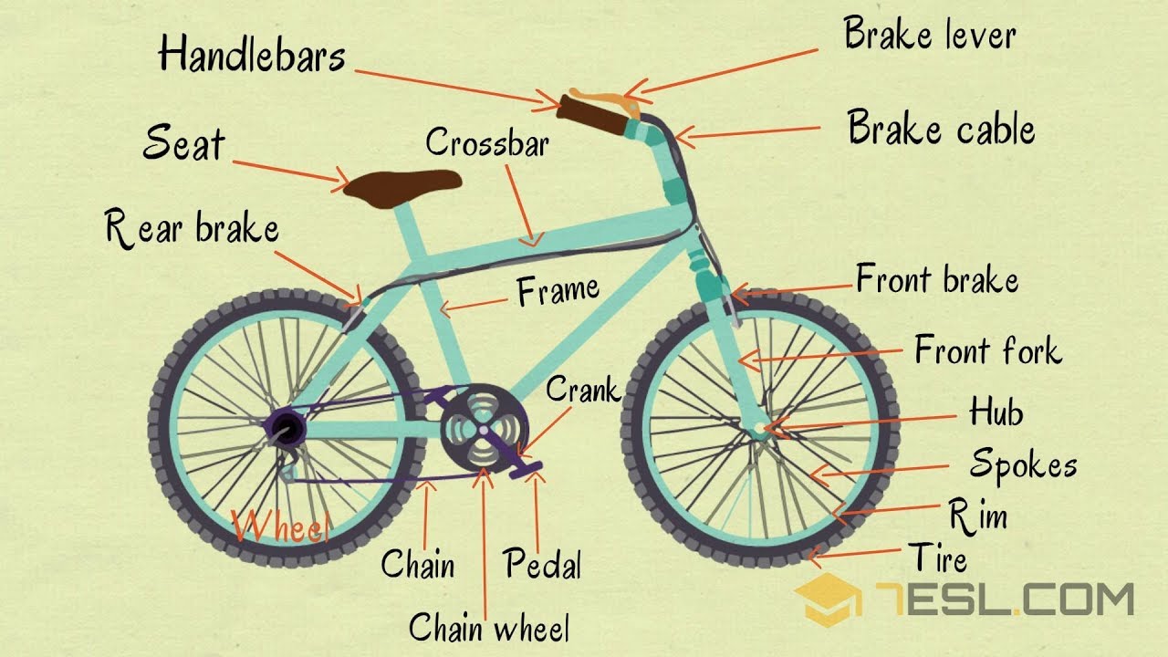 Bike Parts | Parts of a Bicycle in English with Pictures