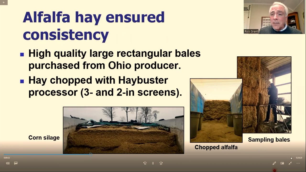 Balancing Alfalfa and Corn Silage in High Producing Dairy Rations