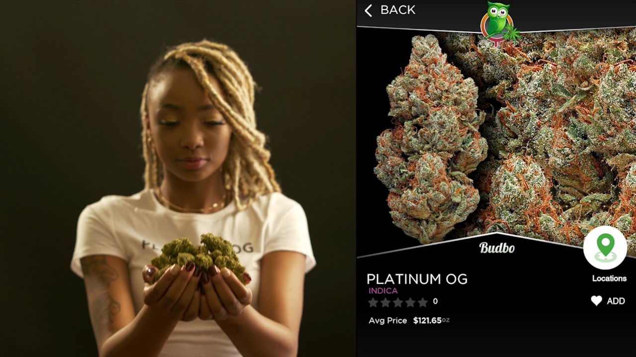 How To Use Budbo's Strain Match Feature To Find Your Perfect Weed