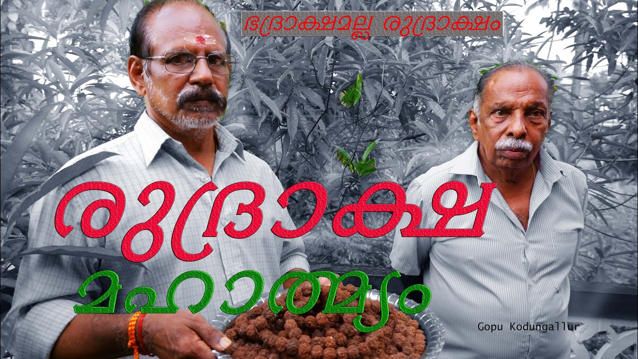 രുദ്രാക്ഷവും ഭദ്രാക്ഷവും  GOPU KODUNGALLUR ഇരിഞ്ഞാലക്കുടക്കാരൻ  രാമനാഥന്റെ വീട്ടിലെ  Rudraksham