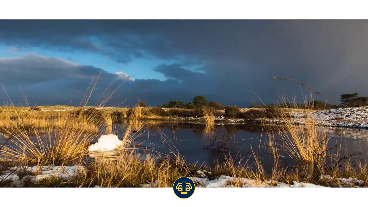 Welkom bij Het Nationale Park De Hoge Veluwe