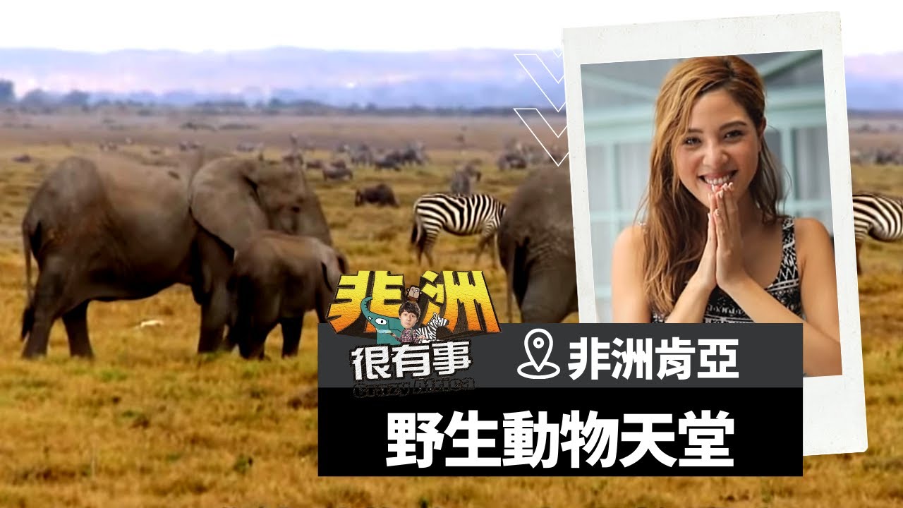 【非洲 肯亞】等待大象排排站過馬路！超妙體驗的野生動物天堂安博塞利公園｜廖科溢《