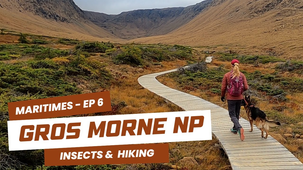 Discover the Real Newfoundland Insectarium & Hiking in Gros Morne National Park