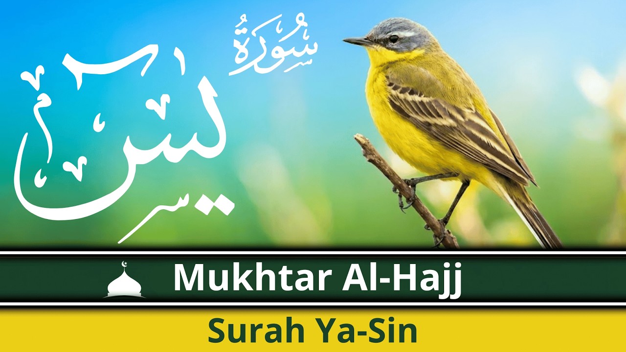 سورة يس  | Full Quran Tilawat | Calm Quran Tilawat | Mukhtar Al-Hajj