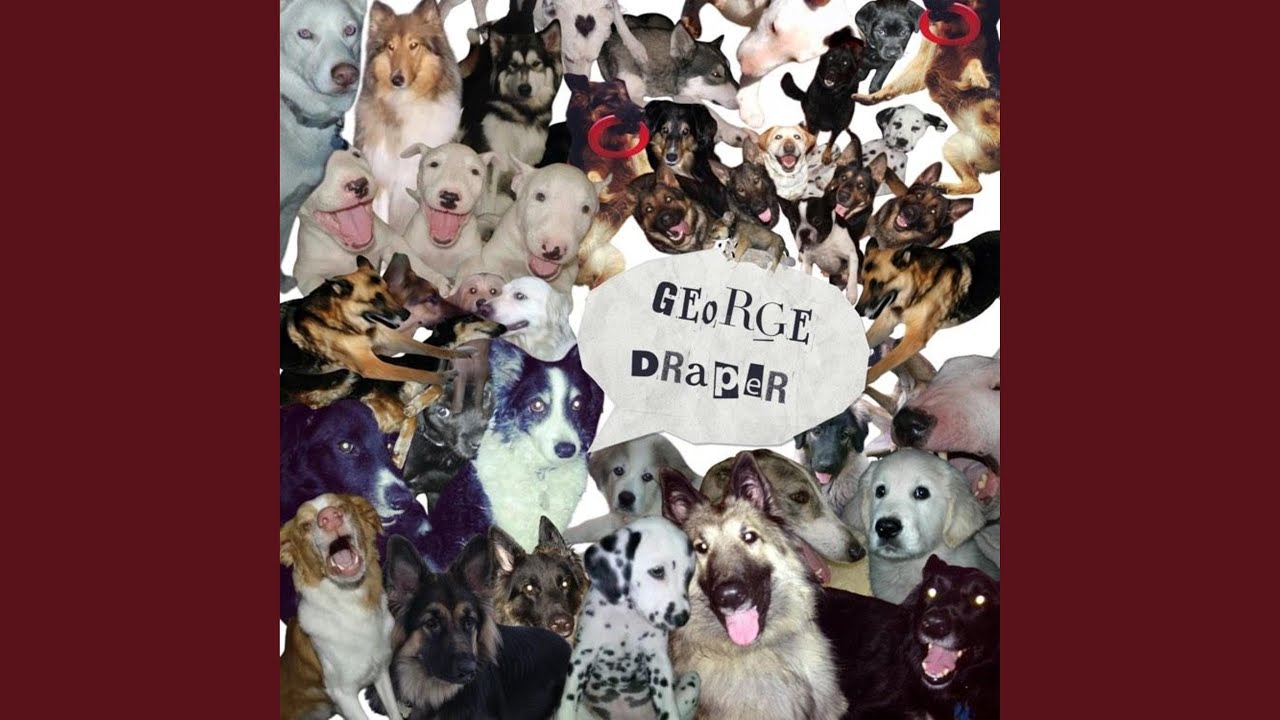 throw the dog a bone