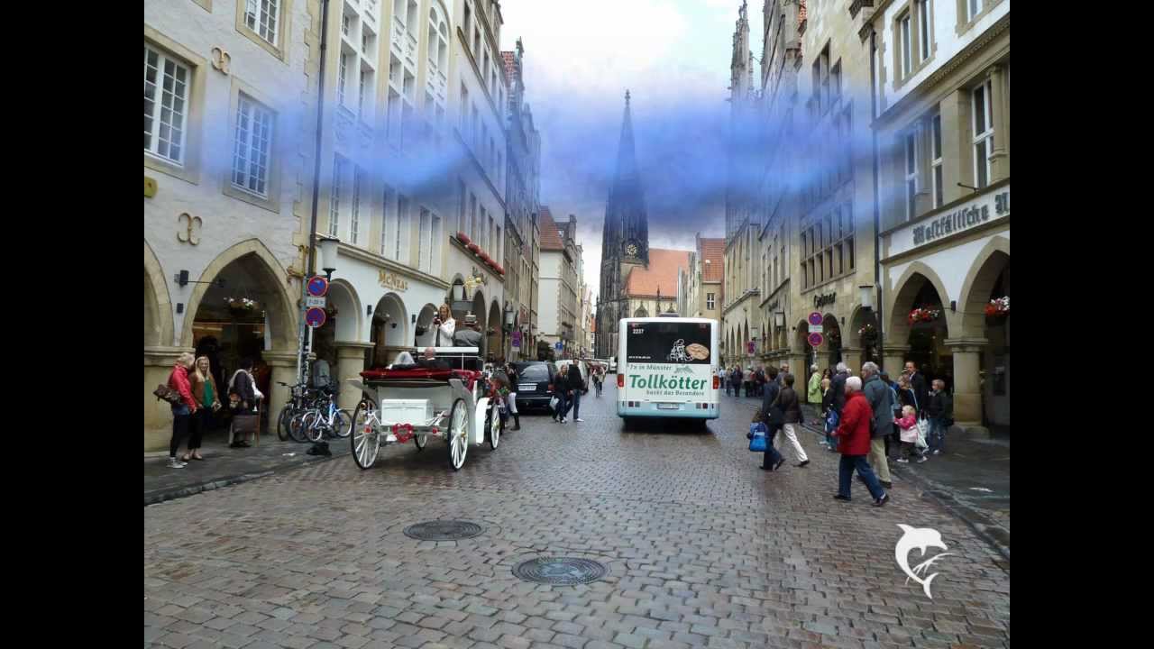 Hochzeitskutsche Münster - Prinzipalmarkt + Schloss