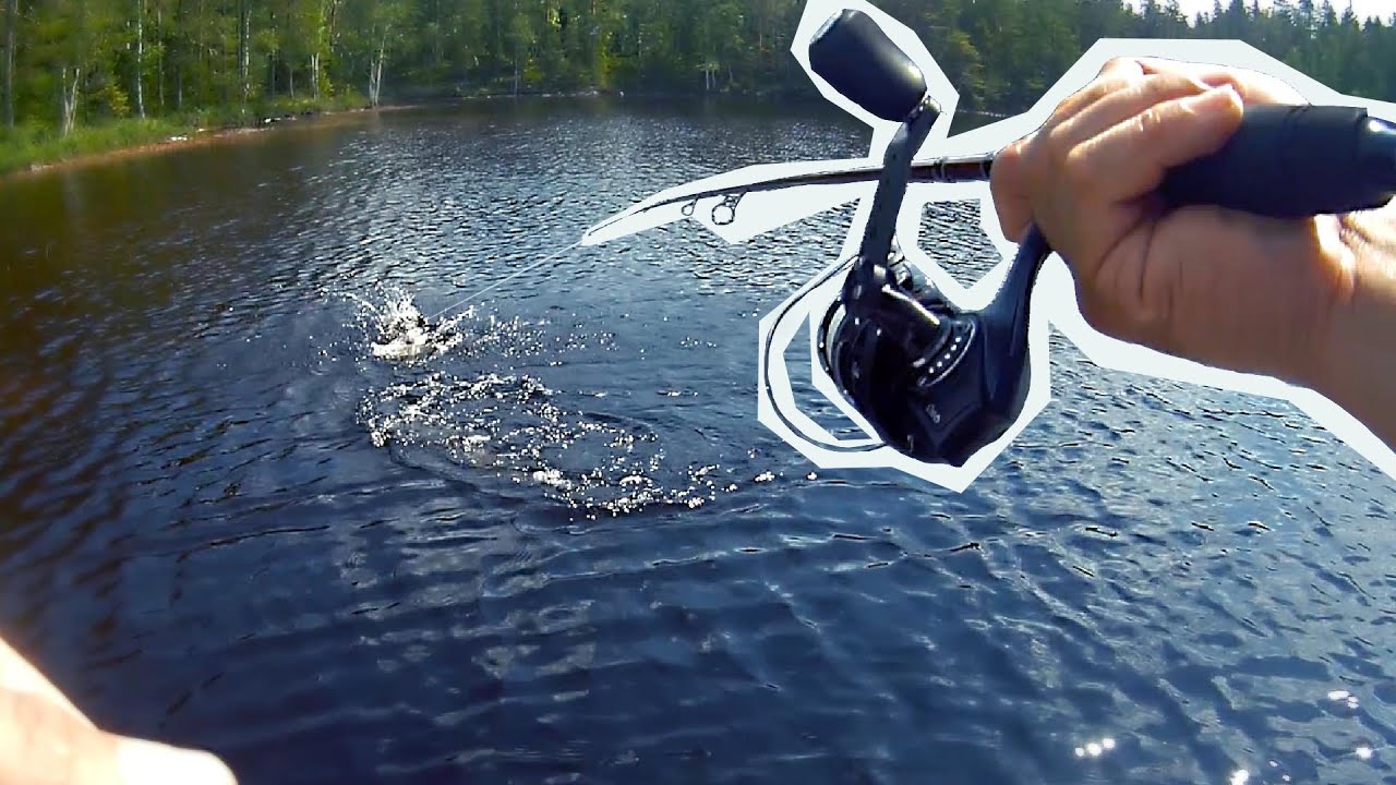 Utforskar en ny skogssjö | knäcker koden med popper