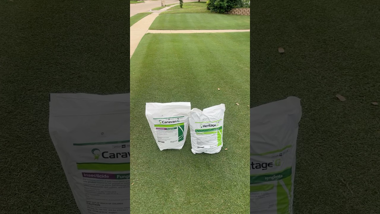 The best insecticide and fungicide all-in-one money can buy??