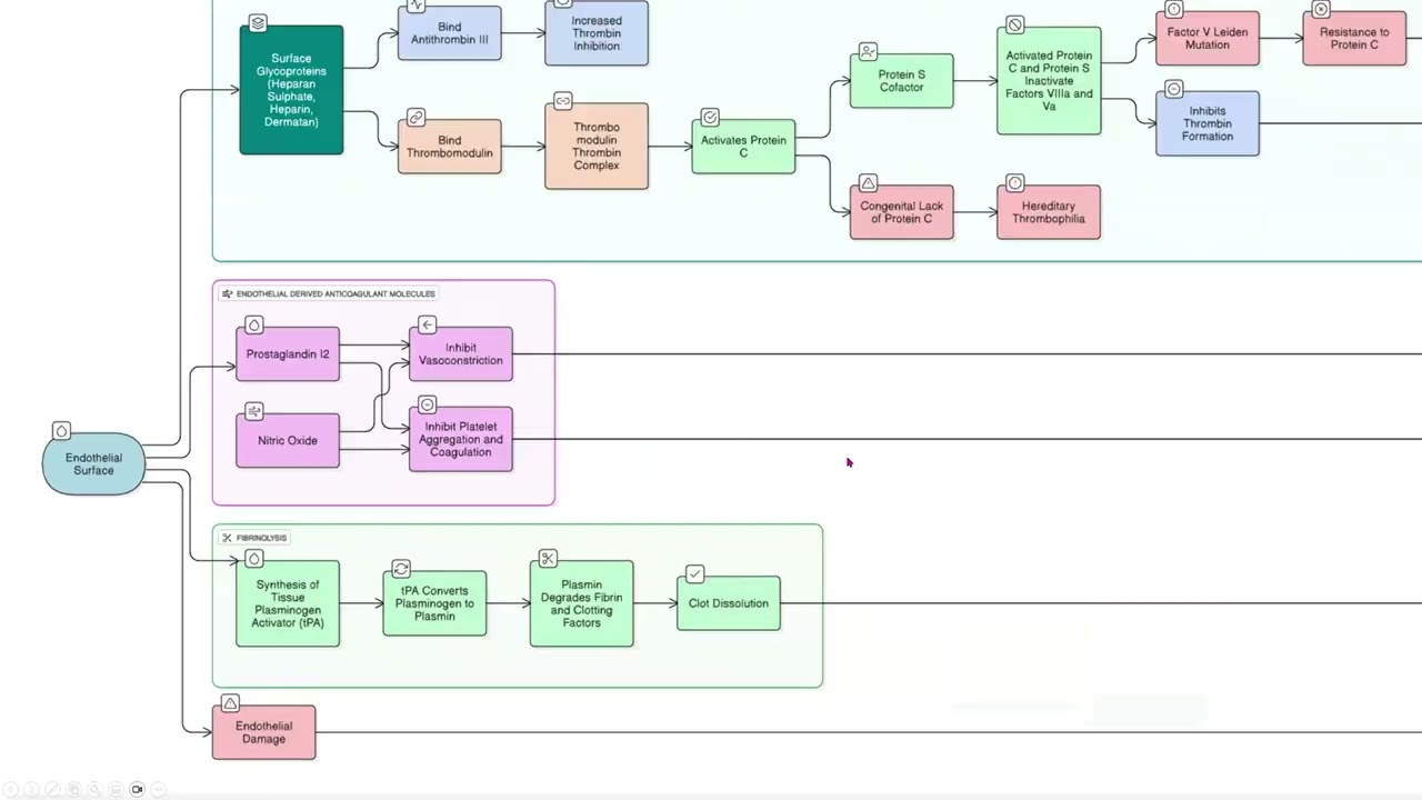 MRCOG-1 Free Webinar | Thromboprophylaxis in Pregnancy & the Puerperium | January 2026 Batch