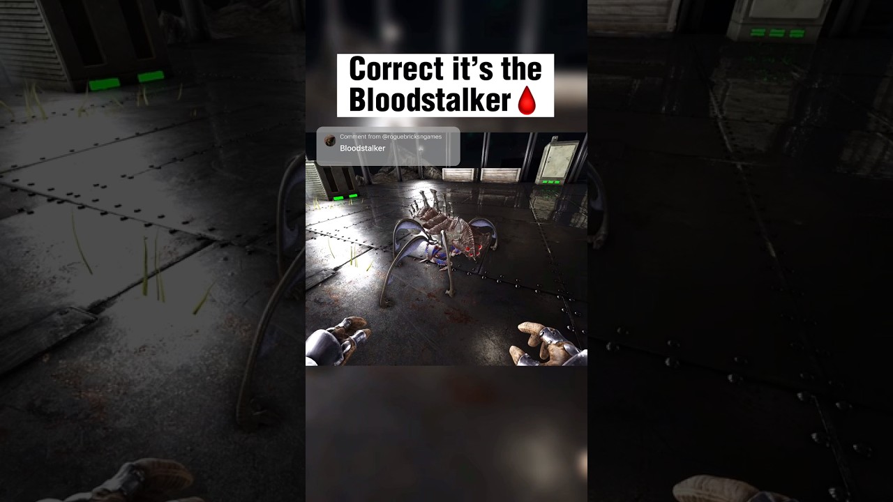 Answer to yesterdays post “Guess the egg” Th Bloodstalker!🕷 